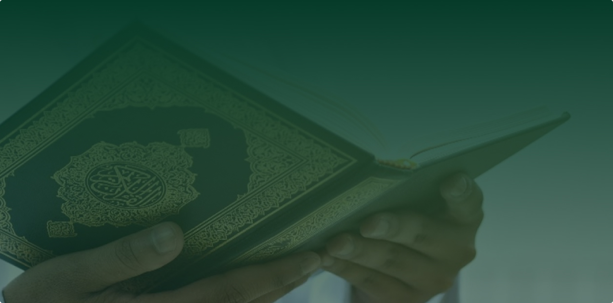 Journal du Camp — Édition Spéciale Présentation