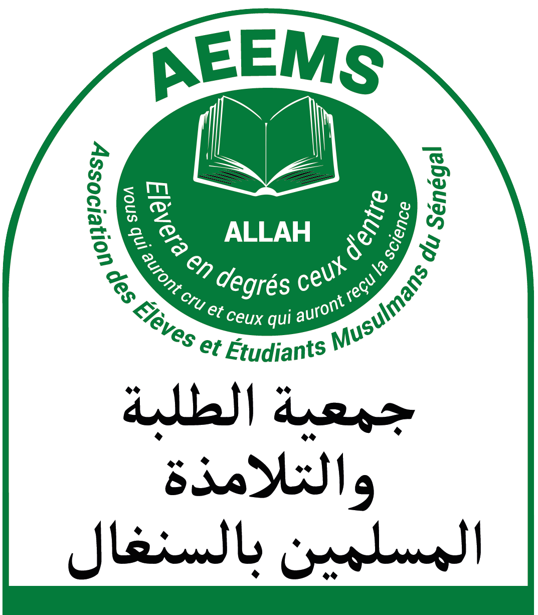 Logo Aeems